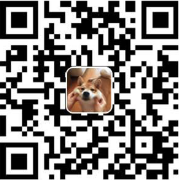 wdxtub Alipay